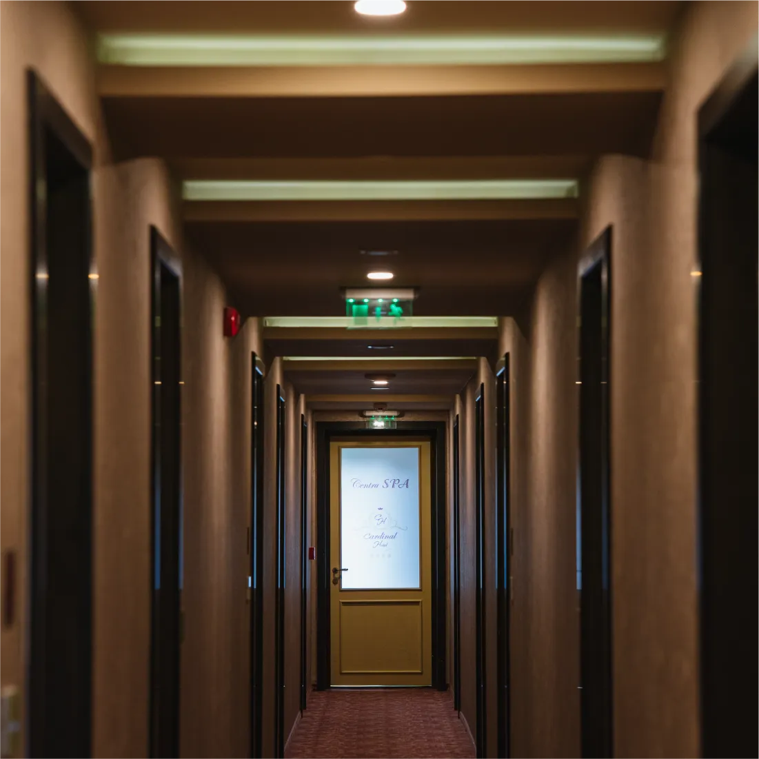 hotel-cardinal-domeniile-martinutzi-c1-05