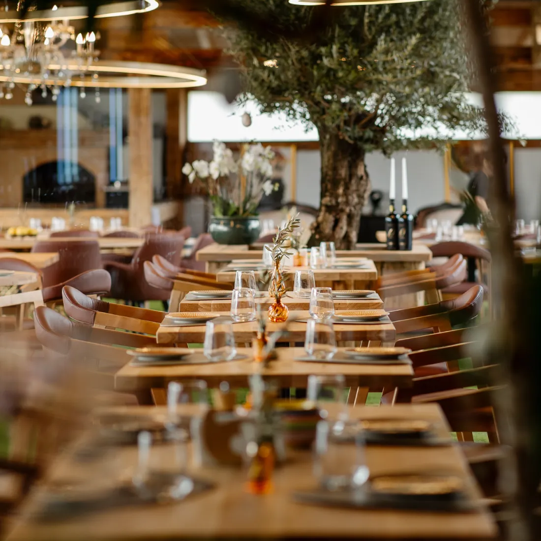 reastaurant-teresa-domeniile martinutzi-carusel-03