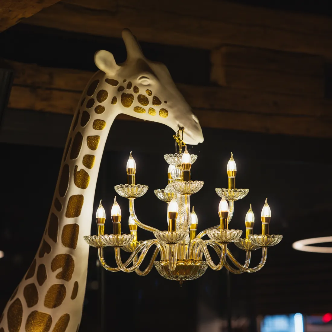 reastaurant-teresa-domeniile martinutzi-carusel-06