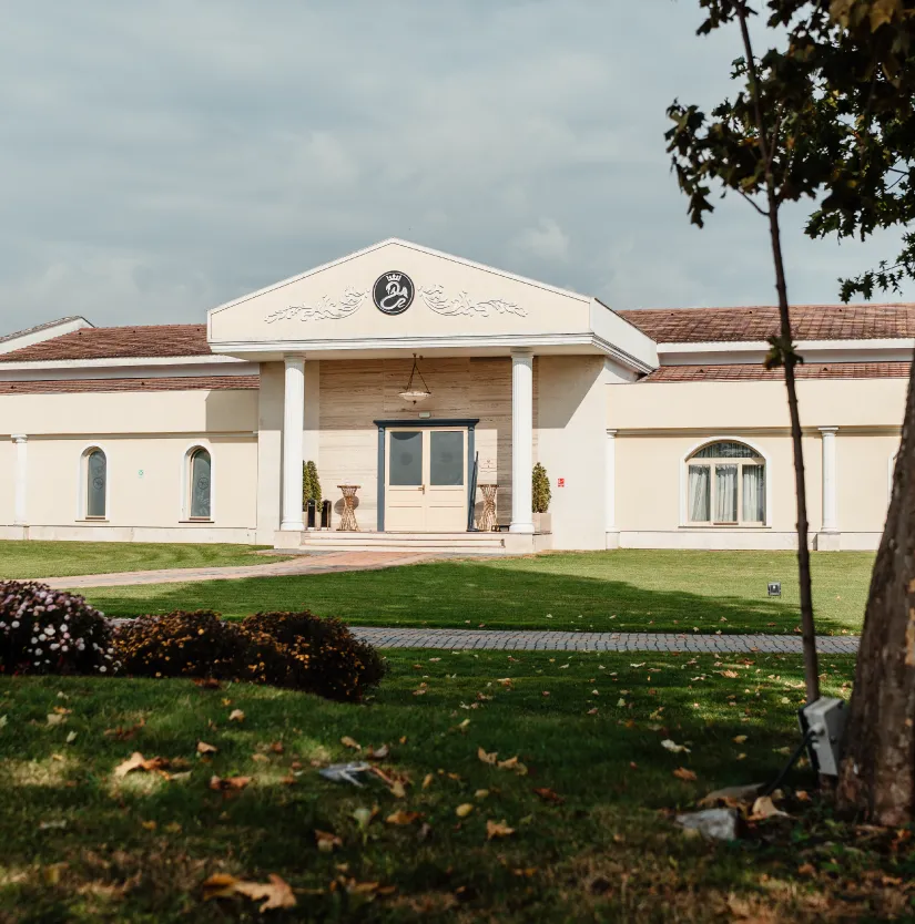 domeniile martinutzi-ballroom-imagine 01