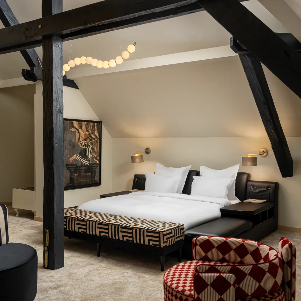 domeniile martinutzi-conacul rhedey-suita elise-01