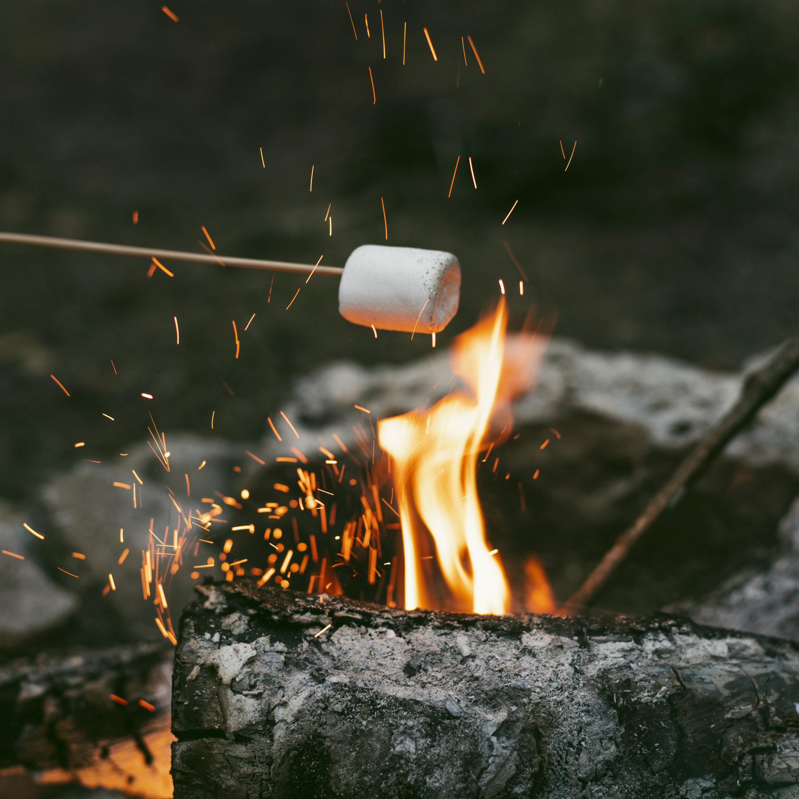 Bezele coapte la foc de tabără