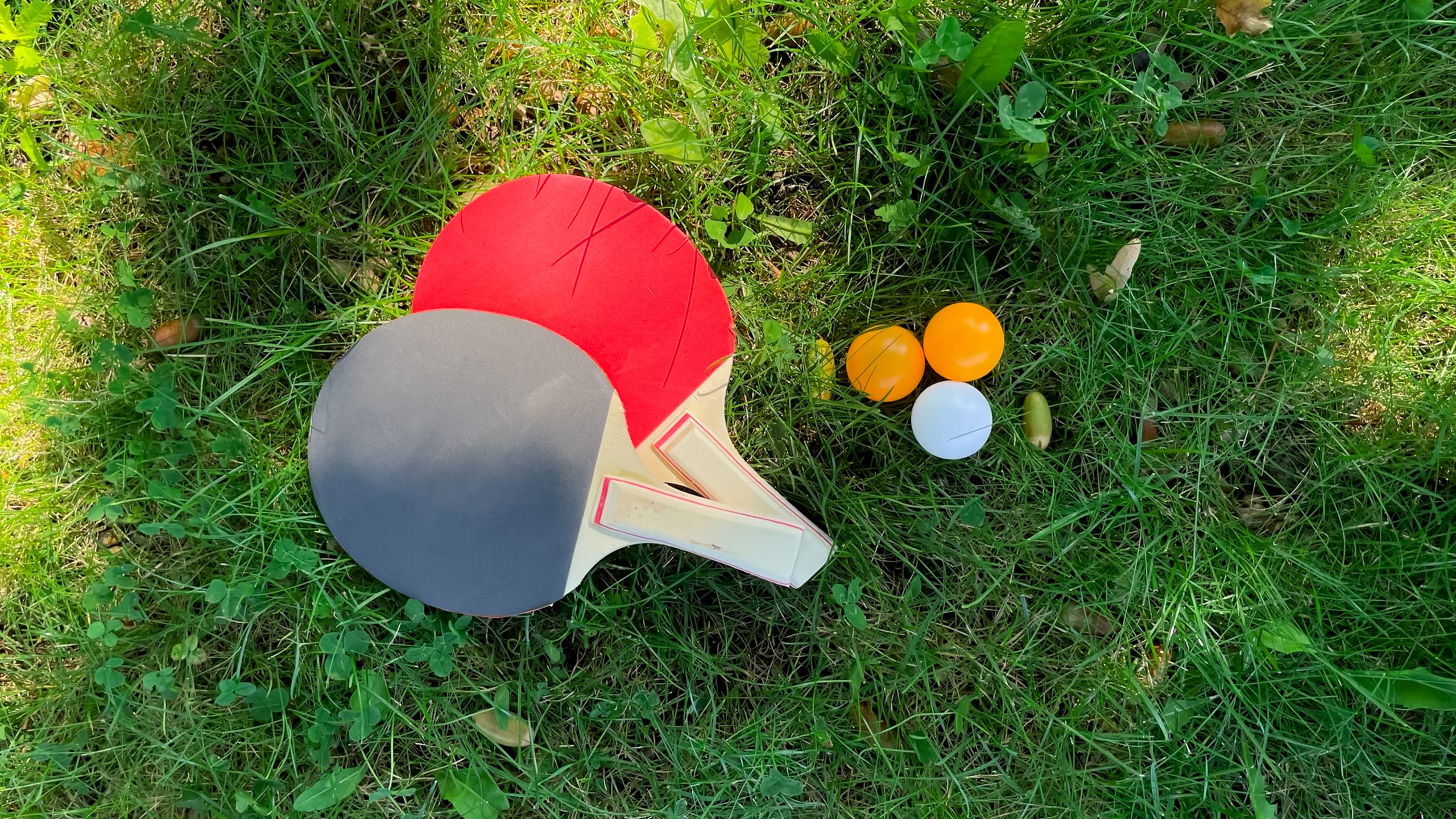 Palete de ping pong pe iarbă